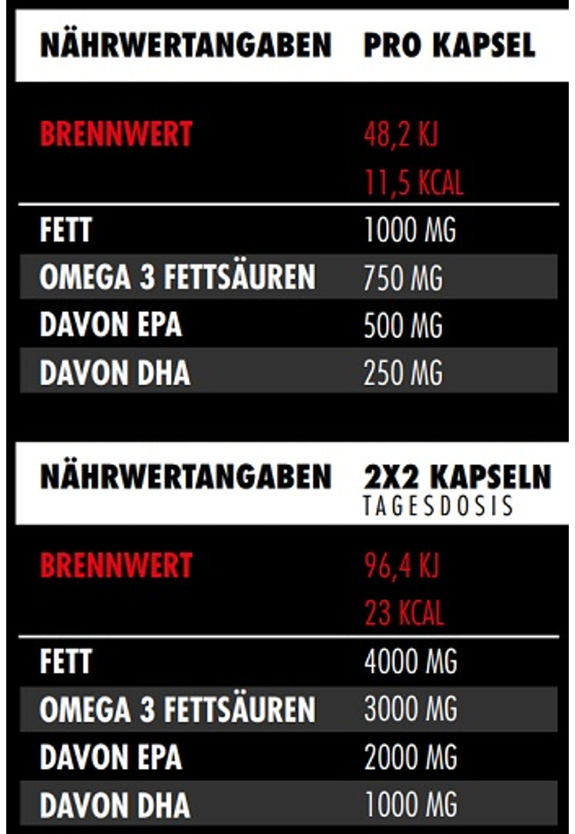 Big Zone Omega 3 Fury Triglyceride 300 Kapseln