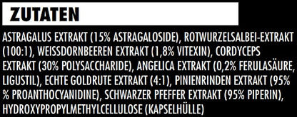 Big Zone Kidney 180 Kapseln