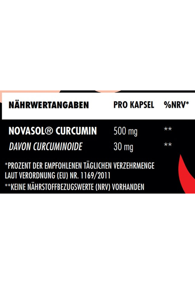 Big Zone NovaSol® Curcumin 90 Liquid Kapseln