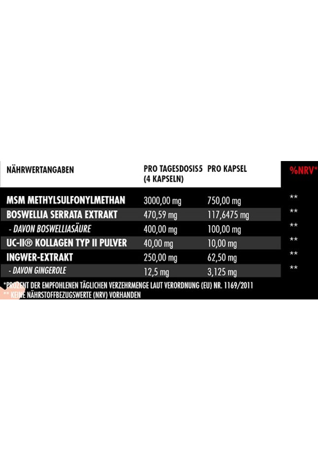 Big Zone Joint Protect 2.0 120 Kapseln