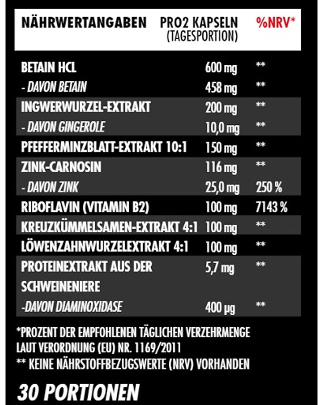 Big Zone Gut 60 Kapseln