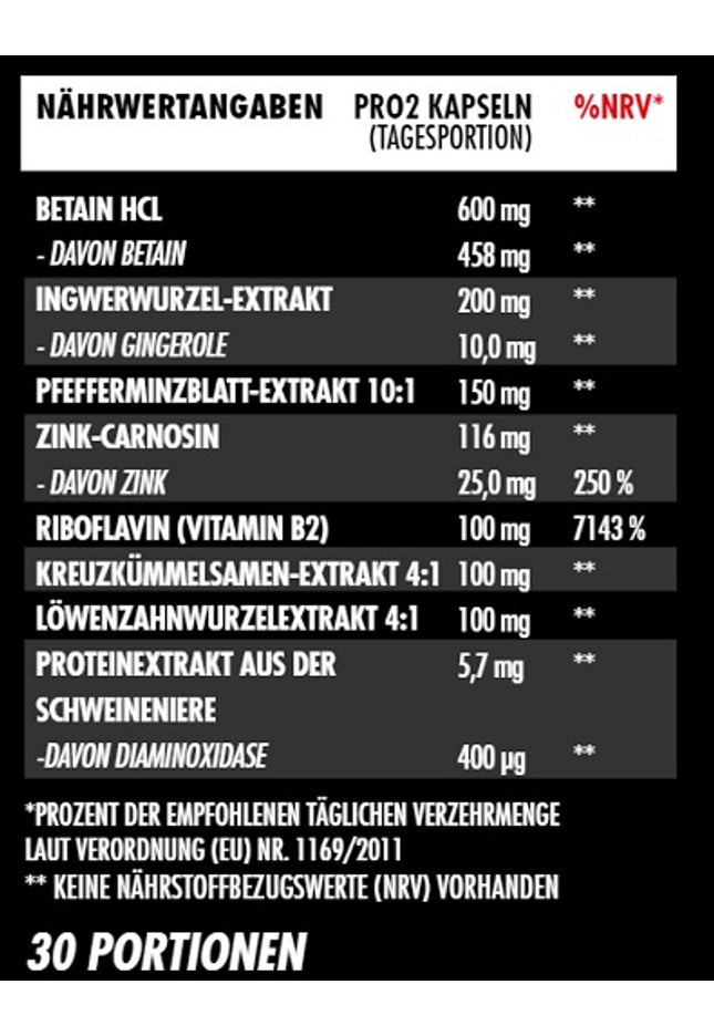 Big Zone Gut 60 Kapseln