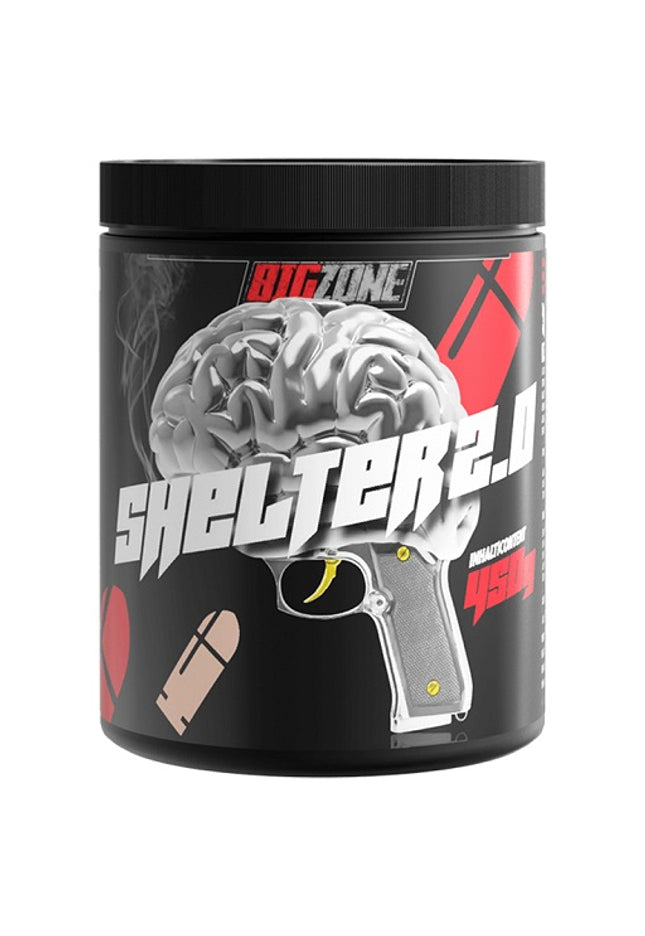 Big Zone Shelter 2.0 450g