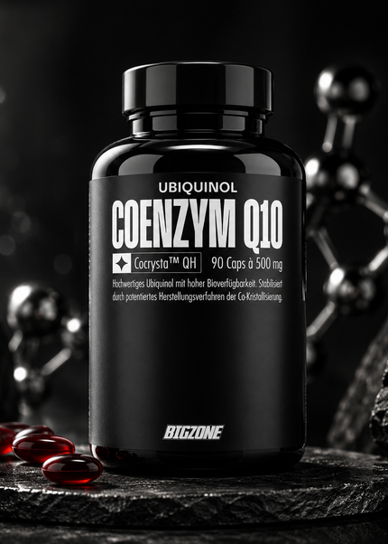 Big Zone Q10 Ubiquinol 90 Kapseln
