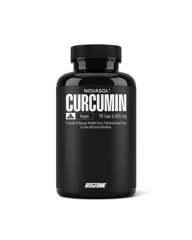 Big Zone NovaSol® Curcumin 90 Liquid Kapseln