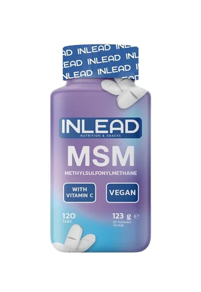 INLEAD MSM  Vitamins 120 Kapseln